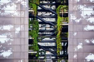 A building facade with a large rectangular opening reveals a modern staircase covered in lush green vines and plants, blending architecture with nature.