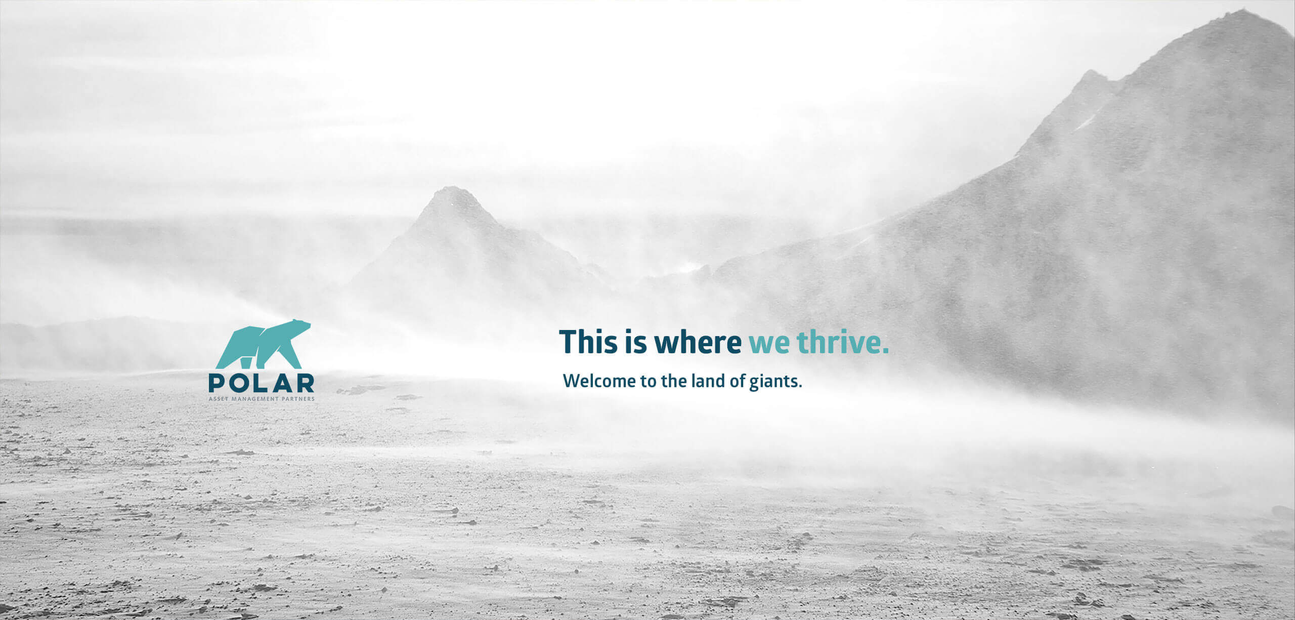 Full Width Hero 1